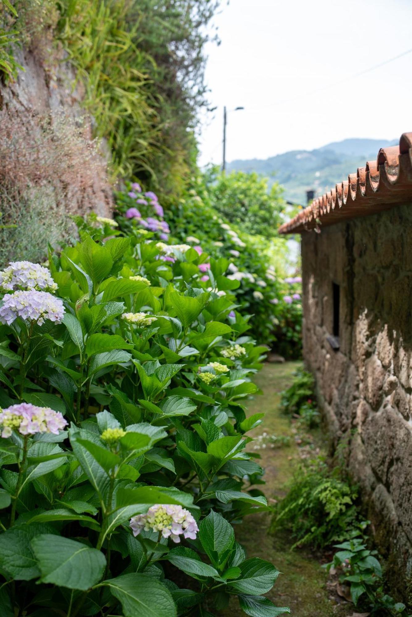 Casa Da Torre, Porto Manso Villa Ribadouro Eksteriør billede